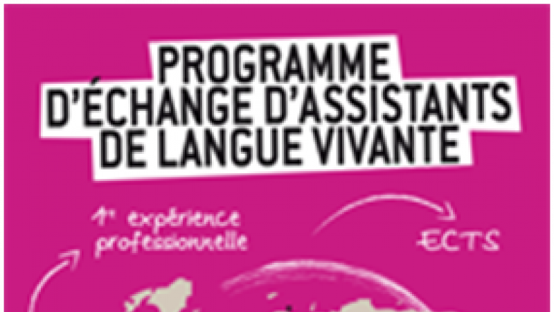 Texte alternatif