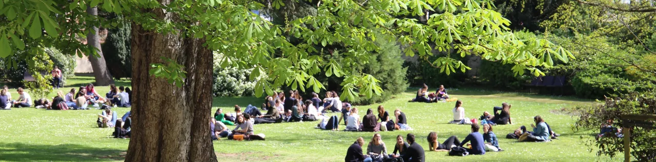 Métiers de la scolarisation inclusive