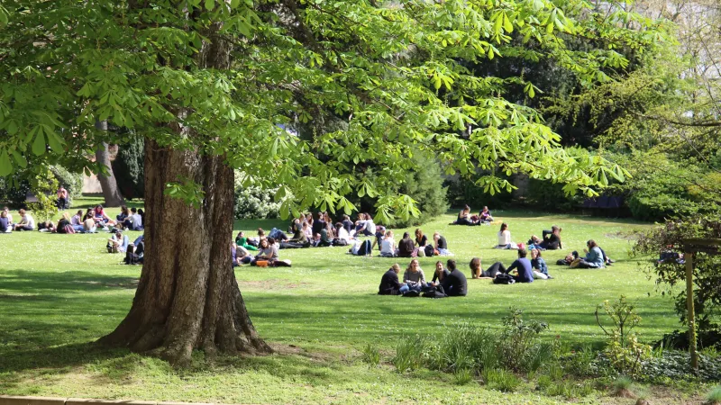 Offre de formation continue pour les enseignants de l'académie de Paris