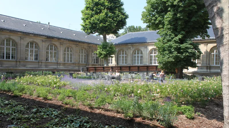 Professeur des écoles