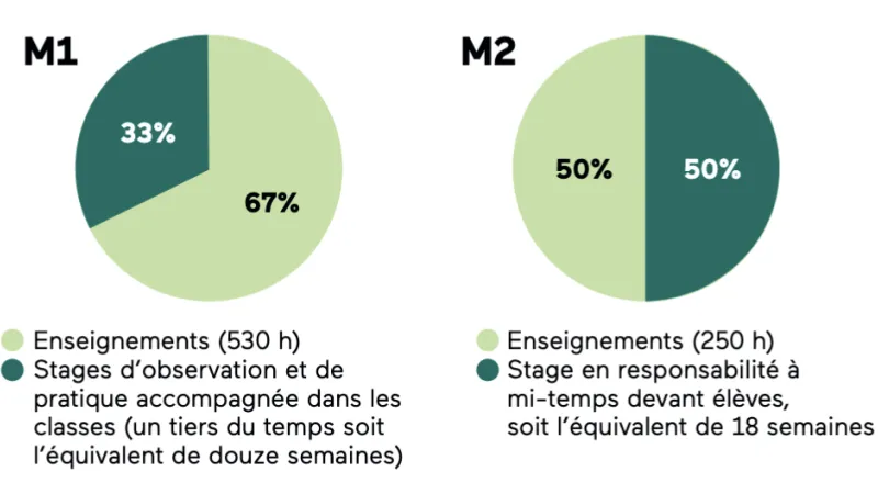 Quelle alternance entre enseignements et stages ?