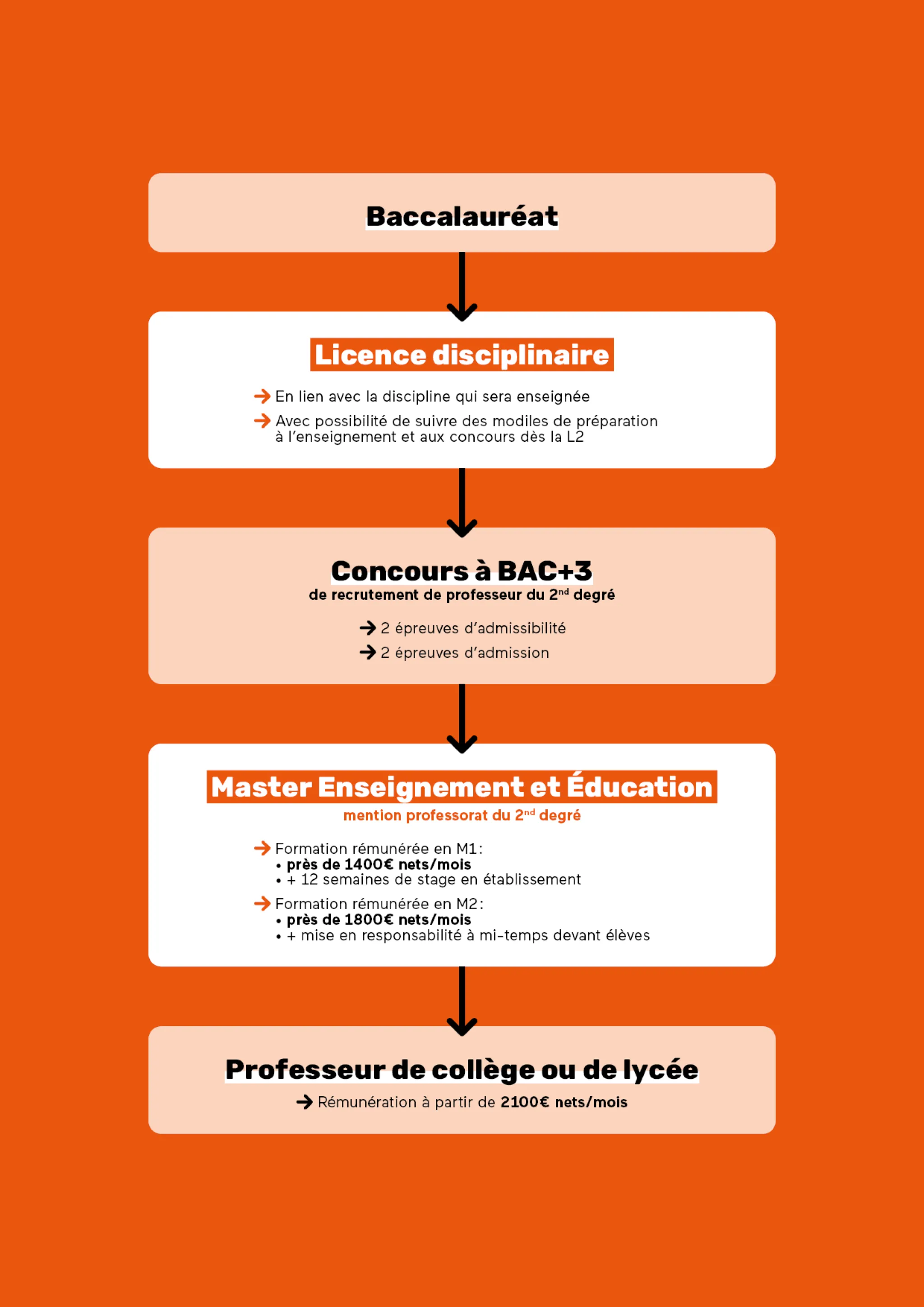 Infographie je deviens professeur de collège et lycée
