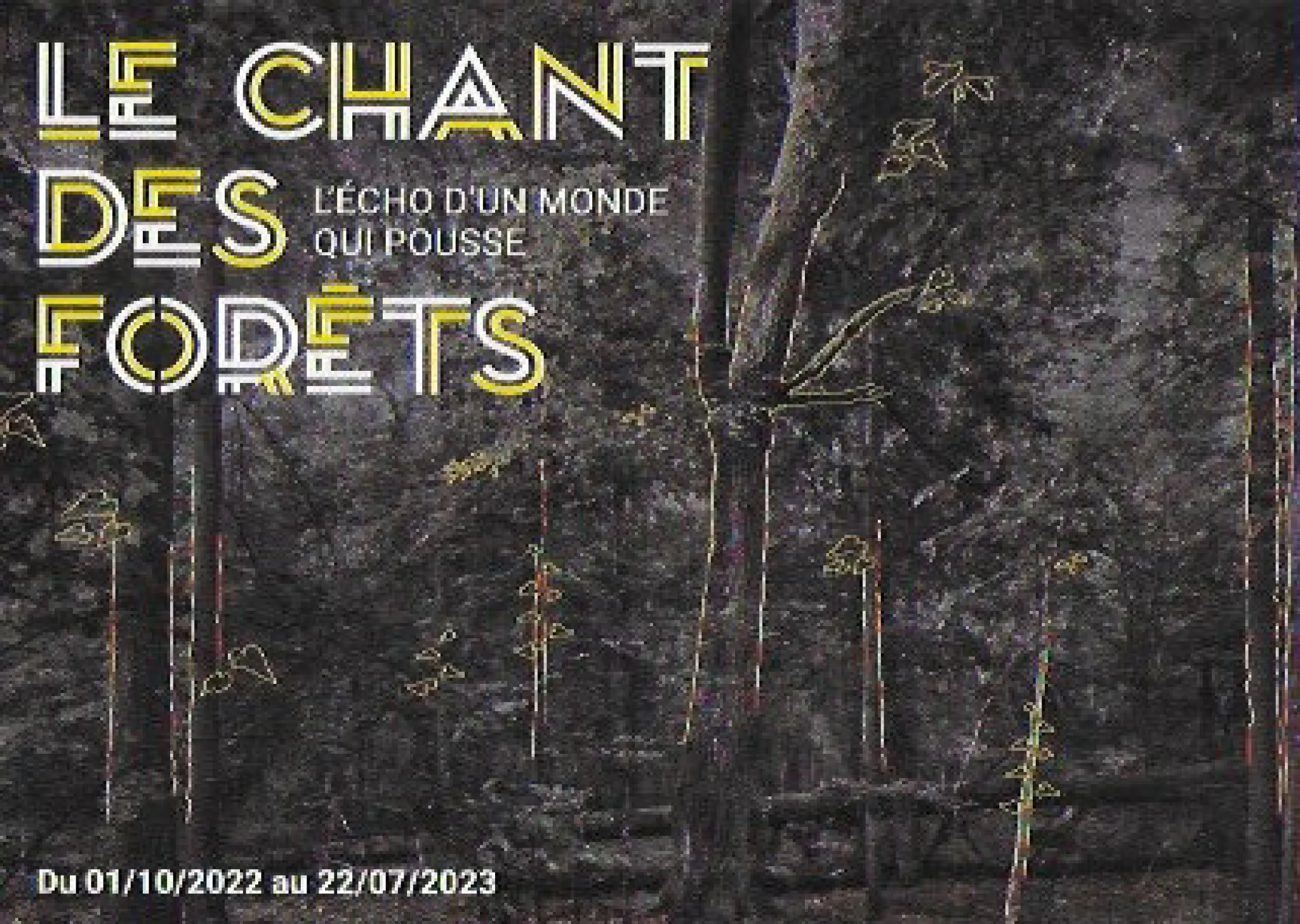 Visuel Chant des Forets