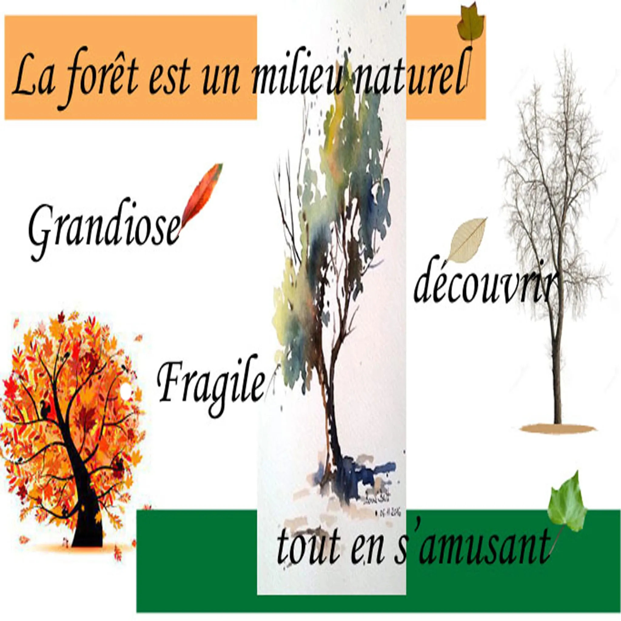 forêt